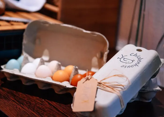 Patrix Hotel, Restaurant, Bar