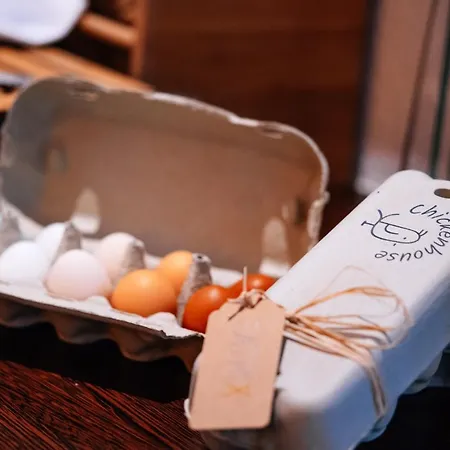 Patrix Hotel, Restaurant, Bar