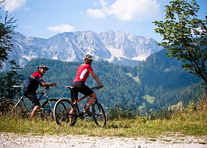 Hotel Patrix Hotel, Restaurant, Bar